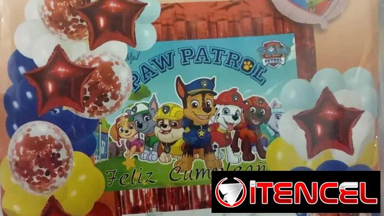 **Set Completo de Paw Patrol 100 PIEZAS**