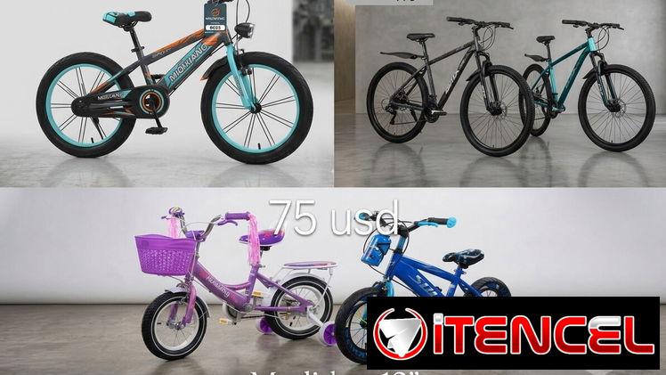 Bicicleta de niños y adultos