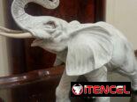 Bello elefante antiguo