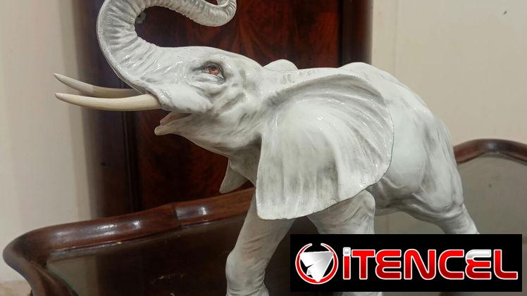 Bello elefante antiguo