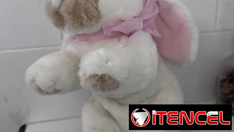 Peluches nuevos