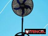 Ventiladores de techo y tradicionales