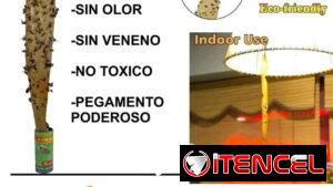 Cintas y Trampas 🪰🪳🦟Atrapa Moscas /Insectos s