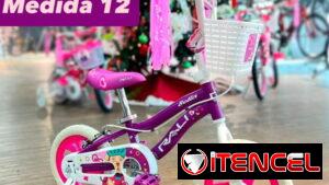 Bicicletas desde el más pequeño hasta el adulto