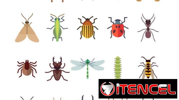 Fumigador contra todo tipo de insecto
