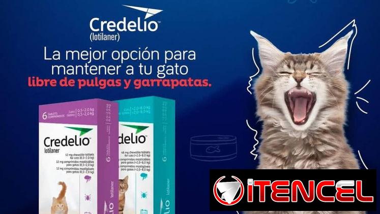 Credelio para gatos
