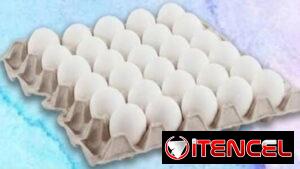🥚🔥 ¡OFERTA DE HUEVO POR CONTENEDOR! 🔥🥚