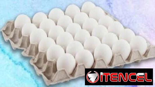 🥚🔥 ¡OFERTA DE HUEVO POR CONTENEDOR! 🔥🥚