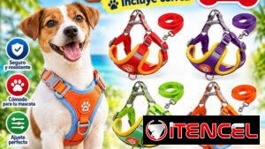 Arreos de Perro