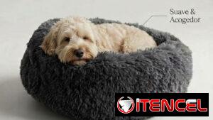 Cama para mascotas. 30 usd