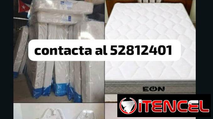 Contacta a ese número, tenemos mensajería gratis — foto 1