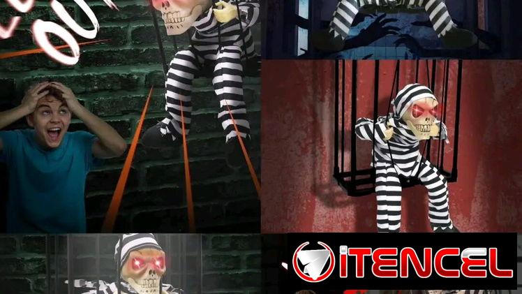 🎃Decoración de Halloween para bares,restaurantes y discotecas