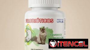 Probióticos para Gatos