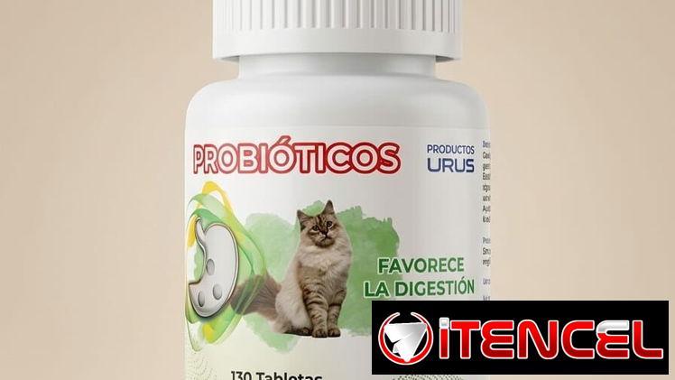 Probióticos para Gatos