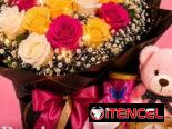 Flores peluches y regalos para Mamá envíos
