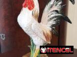 Bellos gallos antiguos italianos