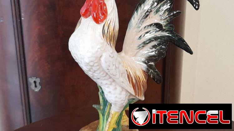 Bellos gallos antiguos italianos
