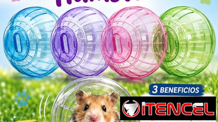 Esfera de actividad para hámster