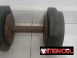 Mancuerna original con sus discos y paralela criolla de pared