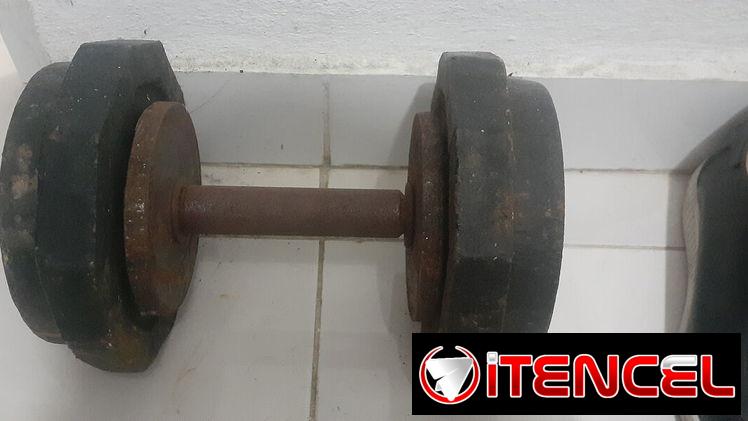 Mancuerna original con sus discos y paralela criolla de pared