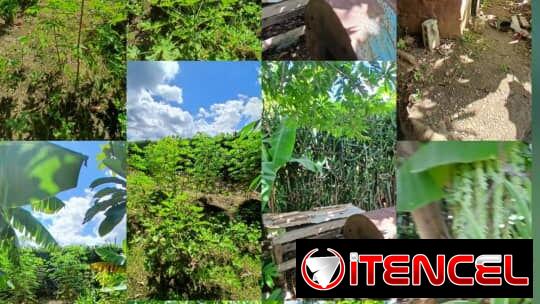 🏡 ¡En Venta Terreno en El Sevillano! 🌳