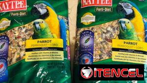 Comida para aves