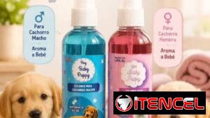 Tienda para mascotas