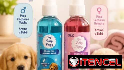 Tienda para mascotas