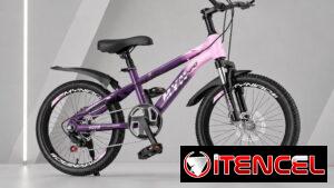 Bicicleta Juvenil 24” P0703-AV004