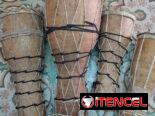 Tambores Abericola listos para estudiar o consagrar