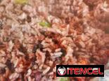 Cenas criollas