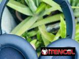 Audífonos Soundcore 20Qi con cancelación de ruido y sonido envolvente