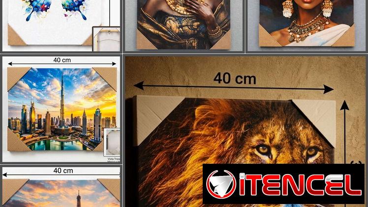Cuadros de lienzo - pinturas decorativas (G2)