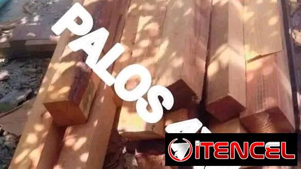 PALOS 4X4