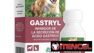 Ranitidina en suspensión para perros y gatos