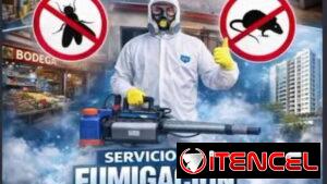 Fumigación