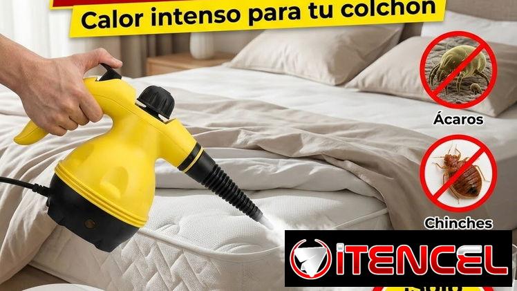 Limpiador al vapor
