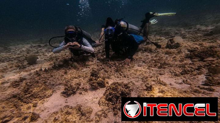 Experiencias y cursos de buceo — foto 2