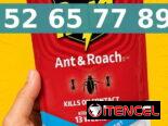 Cucarachas veneno
