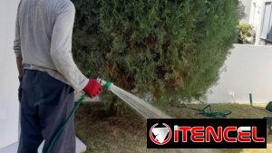 servicios de Jardinería