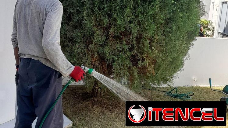 servicios de Jardinería — foto 1