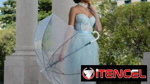 Elegantes Fotos de Quince