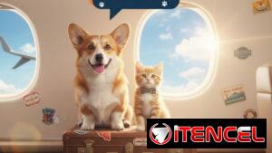 AGENCIA DE VIAJES DE MASCOTA - Hacemos toda la documentación por usted