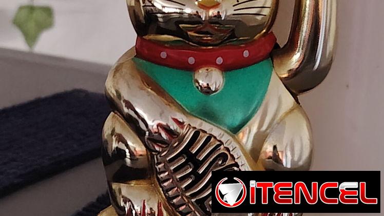 GATO DE LA SUERTE Chino mueve la platica