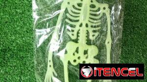 Carabela para hallowen decoración 1100 cup