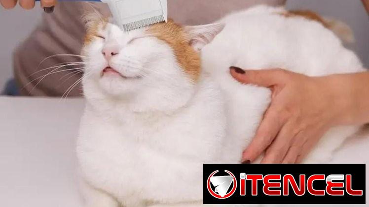 🐶🐱 Peine eléctrico para mascotas – calidad superior ✨