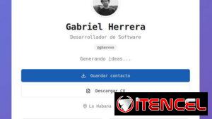 Programador Profesional
