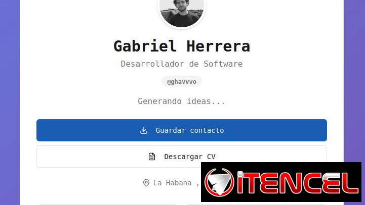 Programador Profesional