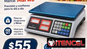 Pesa Digital