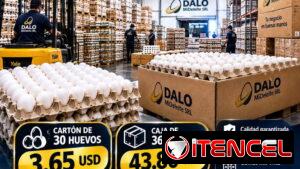 🥚 DALO MI DELEITE SRL | ALIMENTOS Y DISTRIBUCIÓN